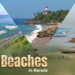 Top 10 Beaches in Kerala