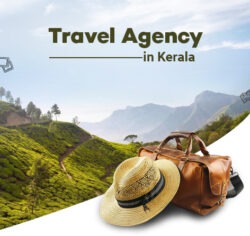 Top 10 Travel Agency in Kerala